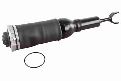 Air Suspension Strut VEMO V10-50-0009