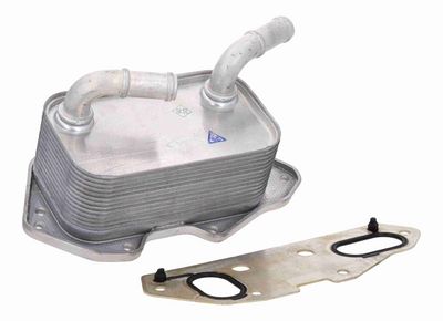 Oil Cooler, engine oil VEMO V15-60-6019