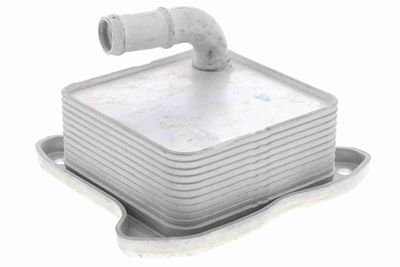 Oil Cooler, engine oil VEMO V15-60-6062
