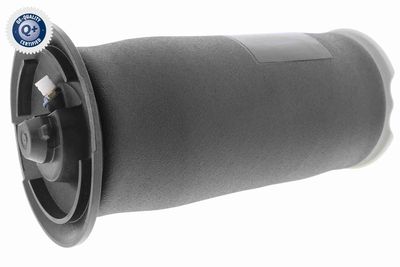 Air Suspension Strut VEMO V20-50-0023