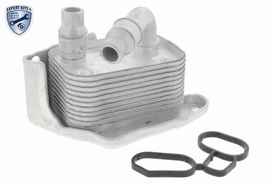 Oil Cooler, engine oil VEMO V20-60-0031