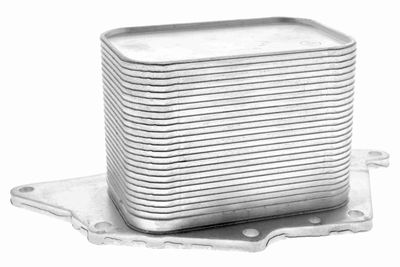 Oil Cooler, engine oil VEMO V20-60-1554