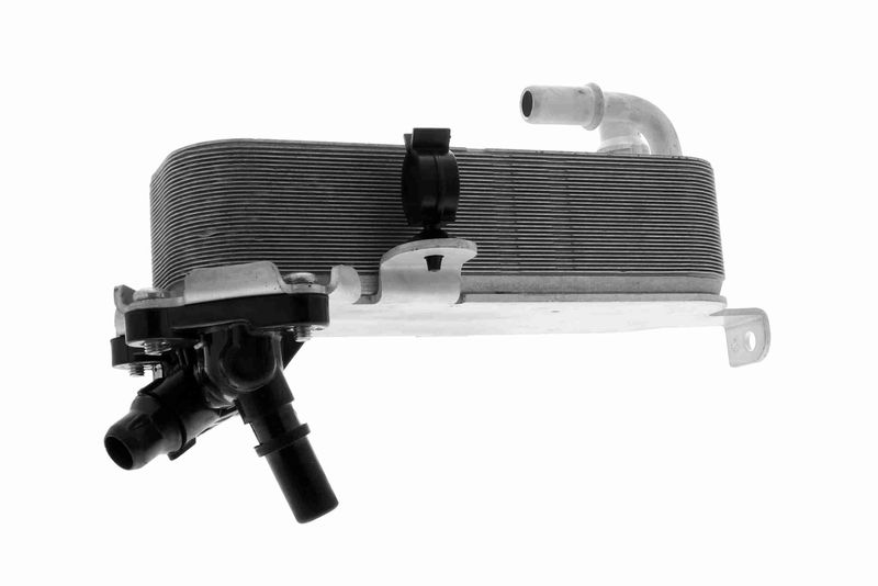 VEMO V20-60-1660 Oil Cooler, automatic transmission