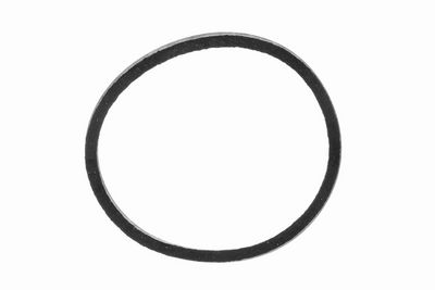 Seal, thermostat VEMO V20-99-9001