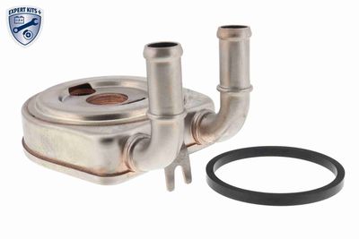 Oil Cooler, engine oil VEMO V22-60-0045