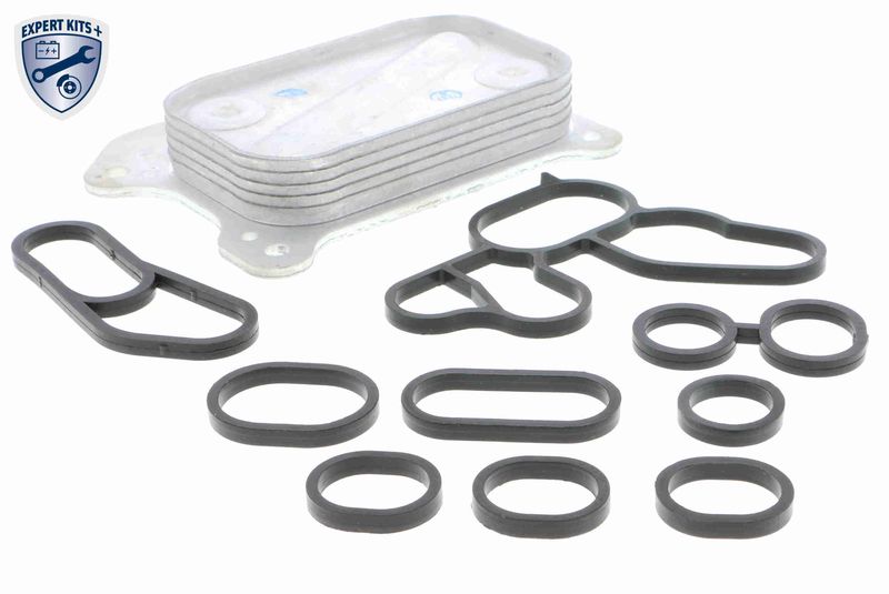 VEMO V24-60-0001 Oil Cooler, engine oil