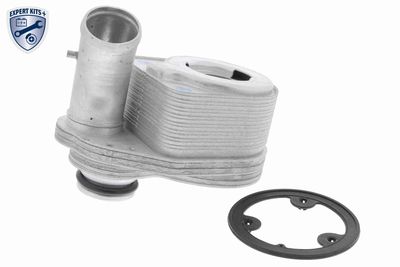 Oil Cooler, engine oil VEMO V24-60-0011
