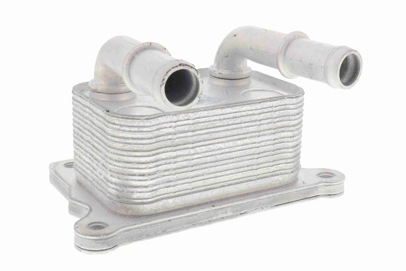 VEMO V38-60-0004 Oil Cooler, engine oil