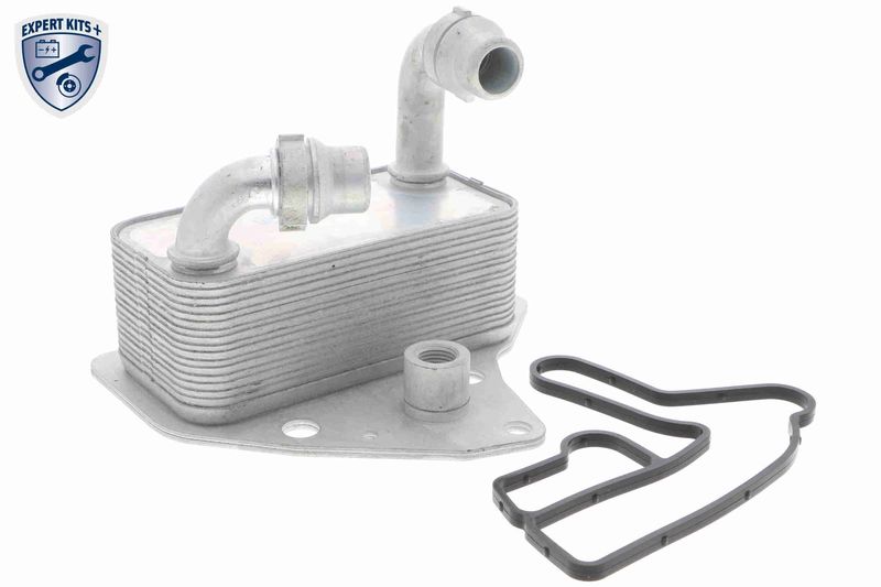 VEMO V40-60-2100 Oil Cooler, engine oil