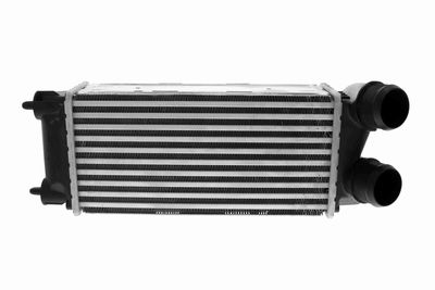 Charge Air Cooler VEMO V42-60-0017