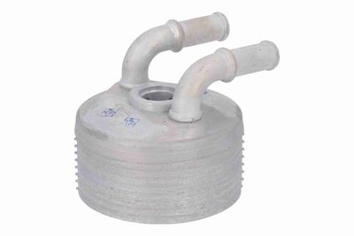 Oil Cooler, engine oil VEMO V42-60-0018