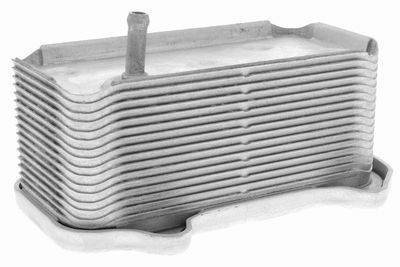Oil Cooler, engine oil VEMO V45-60-0003