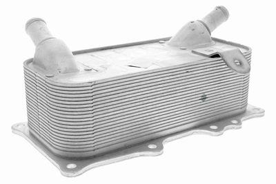 Oil Cooler, engine oil VEMO V45-60-0006