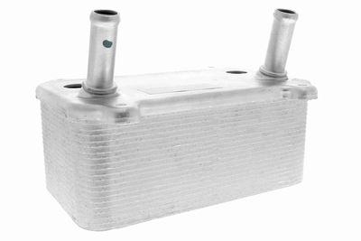 Oil Cooler, engine oil VEMO V48-60-0008