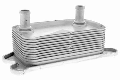 Oil Cooler, engine oil VEMO V95-60-0012