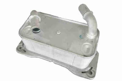 Oil Cooler, engine oil VEMO V95-60-0021