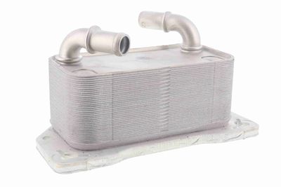 Oil Cooler, engine oil VEMO V95-60-0024