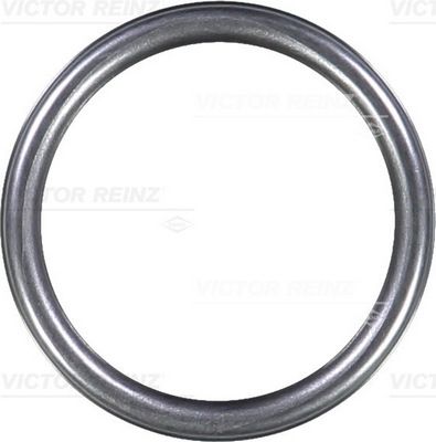 VICTOR REINZ 40-76313-10 Seal Ring